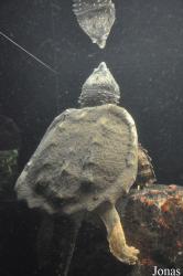 Danmarks Akvarium