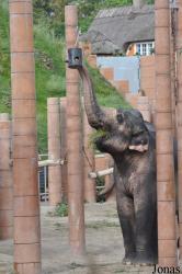 Zoo København