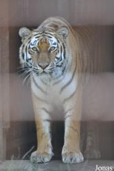 Nykøbing Falster Zoo