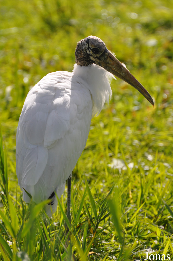 Vogelpark Niendorf