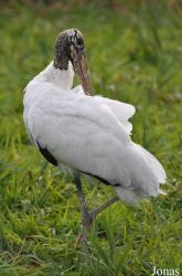 Vogelpark Niendorf