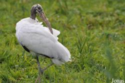 Vogelpark Niendorf