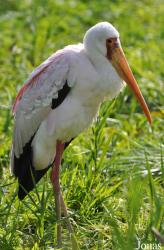 Vogelpark Niendorf