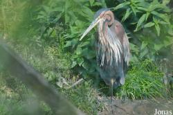 Vogelpark Niendorf