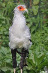 Vogelpark Niendorf