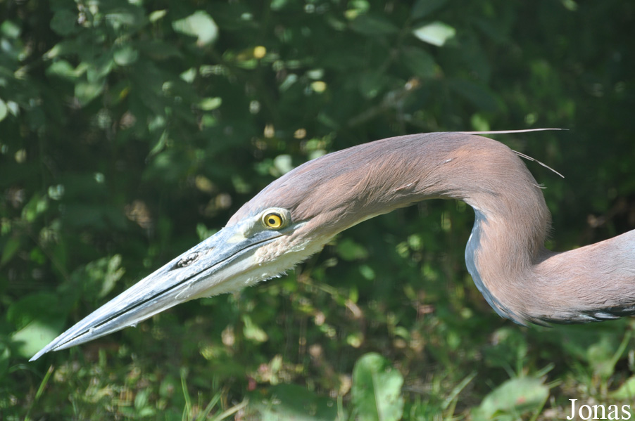 Vogelpark Niendorf