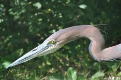 Vogelpark Niendorf
