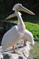 Vogelpark Niendorf