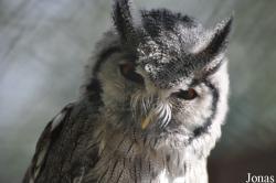 Vogelpark Niendorf