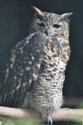 Vogelpark Niendorf