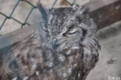 Vogelpark Niendorf