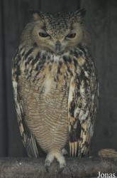 Vogelpark Niendorf