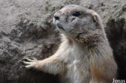Tierpark Nordhorn