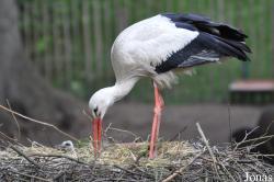 Tierpark Nordhorn