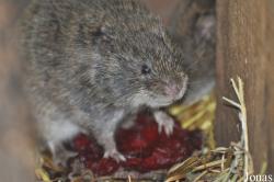 Tierpark Nordhorn