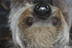 Tierpark Nordhorn