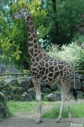 Zoo de Maubeuge
