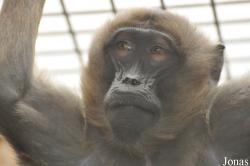 NaturZoo Rheine