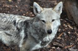 NaturZoo Rheine
