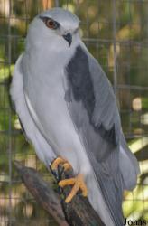 Kuala Lumpur Bird Park