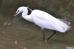 Olmense Zoo