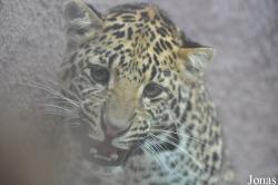 Olmense Zoo