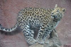 Olmense Zoo