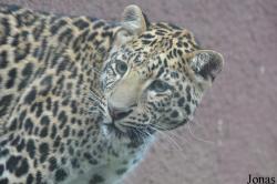Olmense Zoo