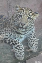 Olmense Zoo