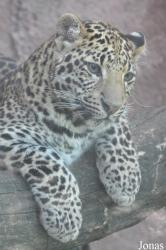 Olmense Zoo