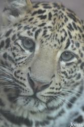 Olmense Zoo