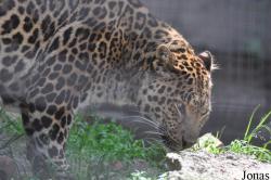 Olmense Zoo