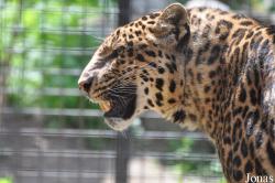 Olmense Zoo