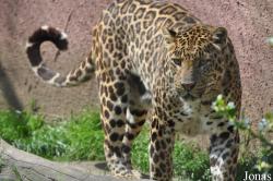 Olmense Zoo