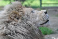 Olmense Zoo
