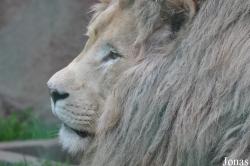 Olmense Zoo