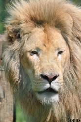 Olmense Zoo