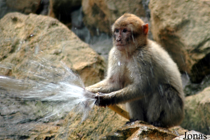 Zoo d'Amnéville