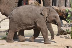 Dierenpark Amersfoort