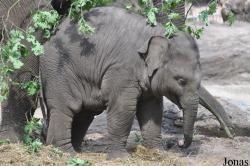Dierenpark Amersfoort