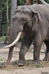 Dierenpark Amersfoort