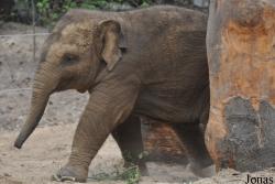 Dierenpark Amersfoort