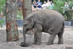 Dierenpark Amersfoort