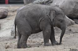 Dierenpark Amersfoort