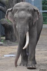 Dierenpark Amersfoort