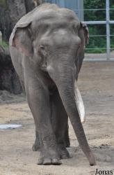 Dierenpark Amersfoort