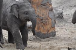 Dierenpark Amersfoort