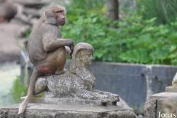 Dierenpark Amersfoort