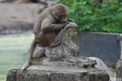 Dierenpark Amersfoort