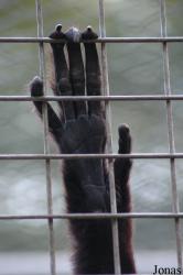 Parc Zoologique du Bois d'Attilly